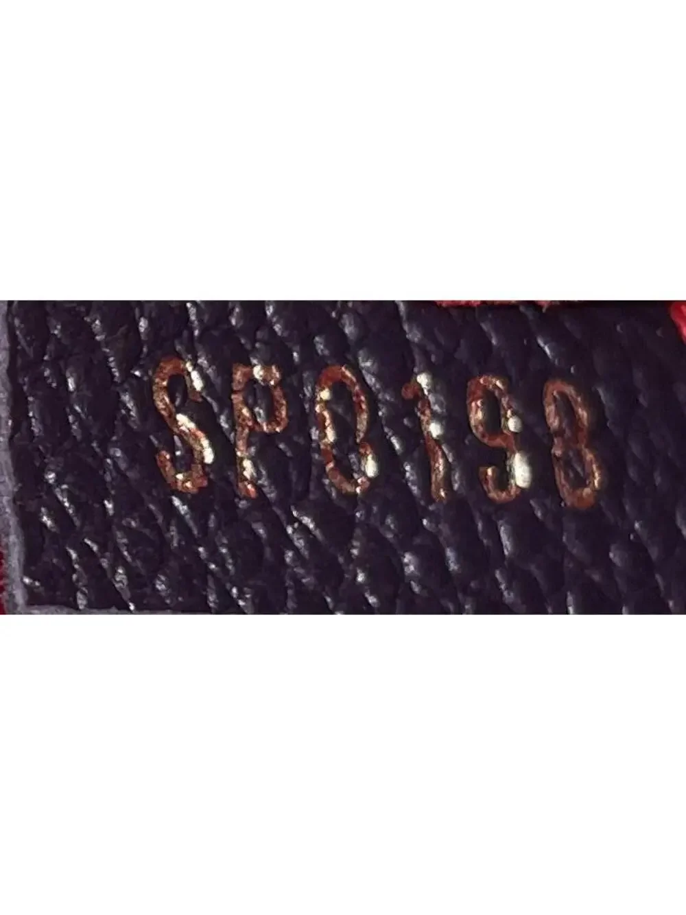 Louis Vuitton elevate your